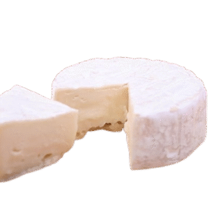 queso fresco écologico