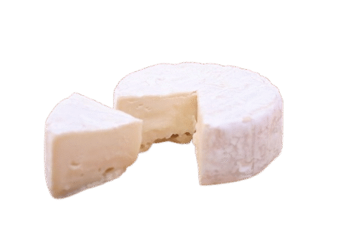 queso fresco écologico