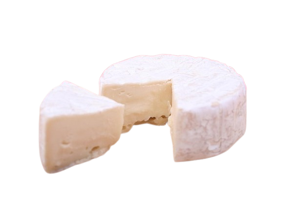 kiwi ecologico queso fresco écologico
