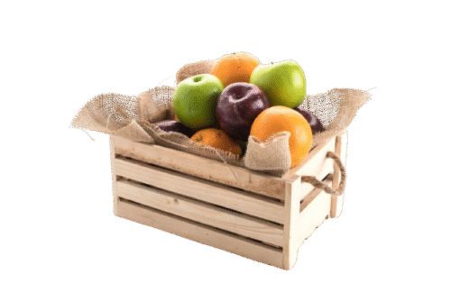 cesta básica de verduras y frutas ecológicas