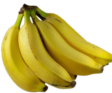 platano canarias