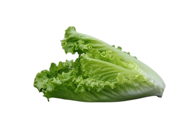 kiwi ecologico lechuga ecológica